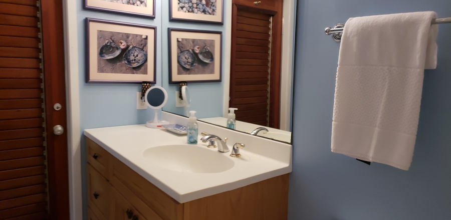 Master Sink